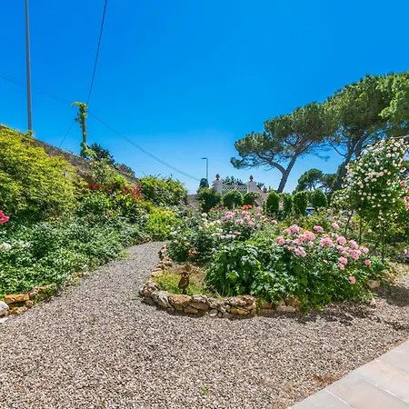 Delle Rose By Interhome Livorno
